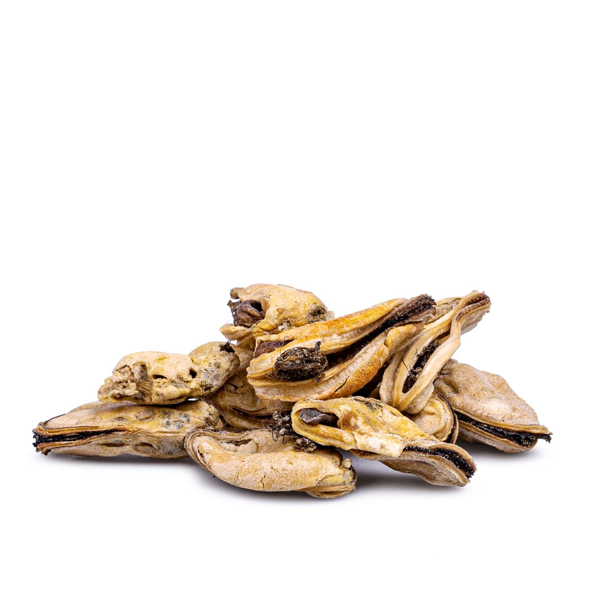 1306 Freeze Dried Mussels 01 1306 Freeze Dried Mussels 01